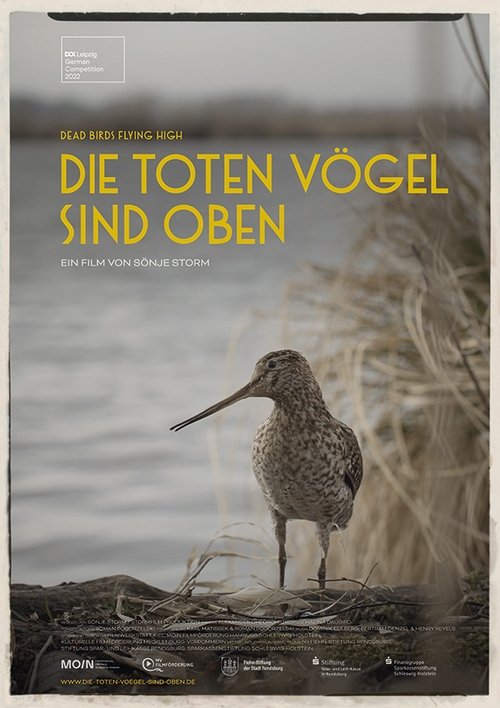 Die toten Vögel sind oben poster
