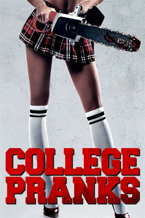 College Pranks poster 3