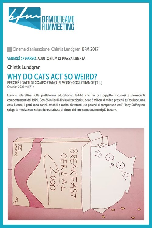 Why+Do+Cats+Act+So+Weird%3F