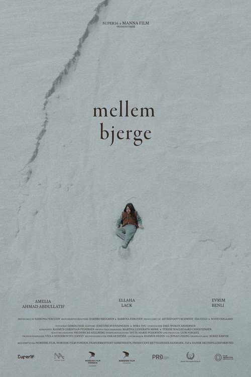 Mellem Bjerge