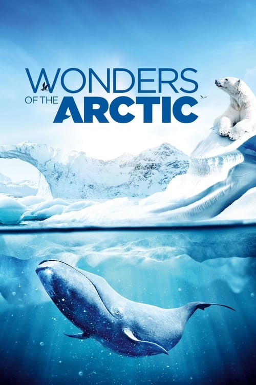 Wonders of the Arctic