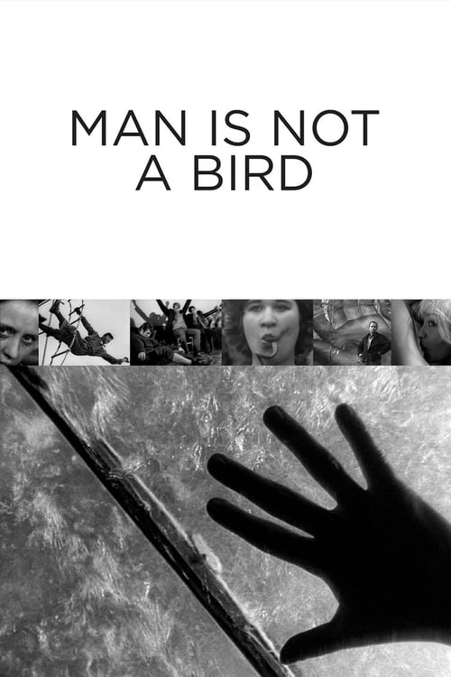 Man+Is+Not+a+Bird