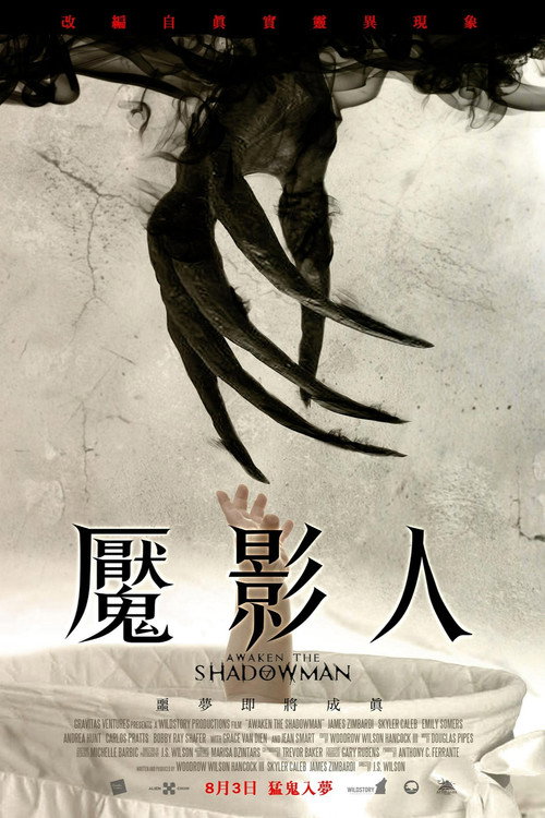 唤醒夜影人电影海报