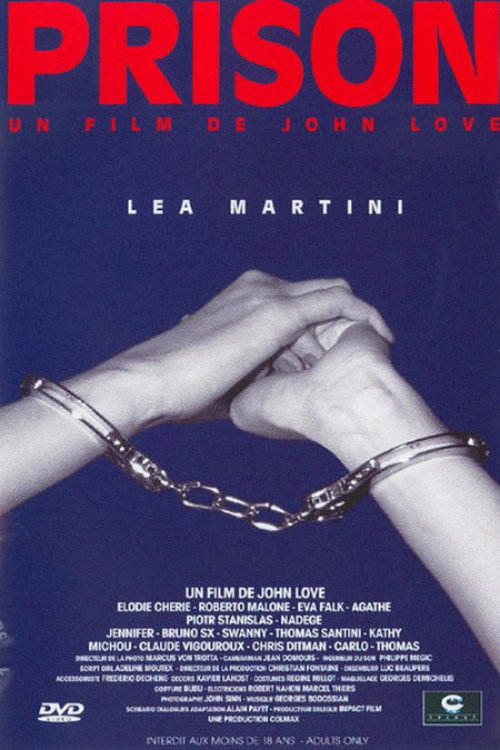 Prison poster 3