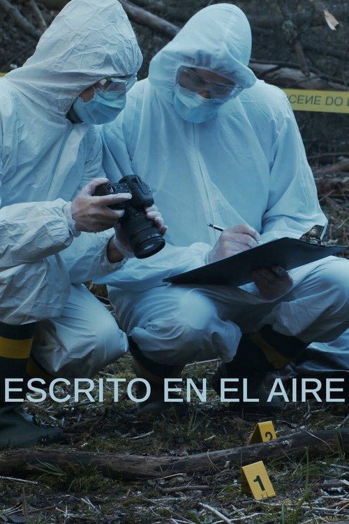 Escrito en el aire电影海报