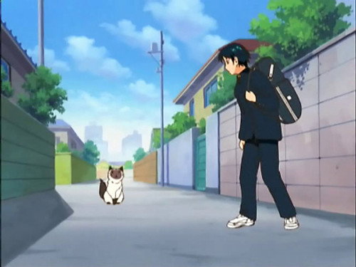 网球王子第2季第1集