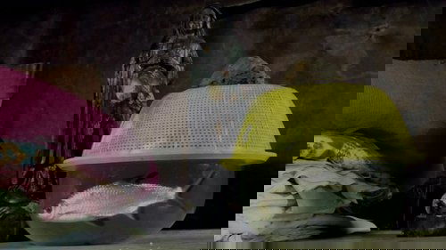 Fable of the Fish