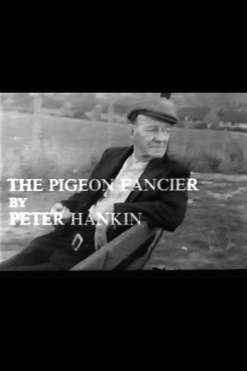 The Pigeon Fancier poster 2