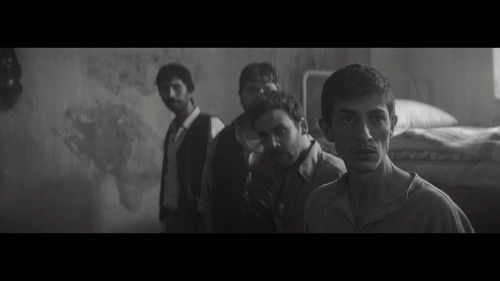 Sürgünler - Kurtlar ve Kuzular