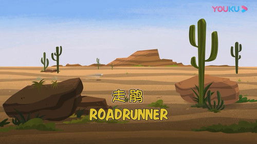 Road Runner