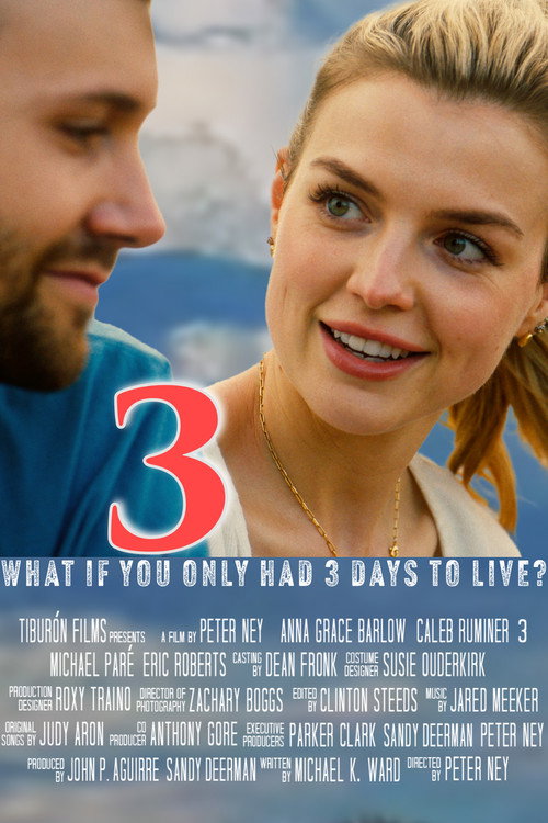 3 poster 2