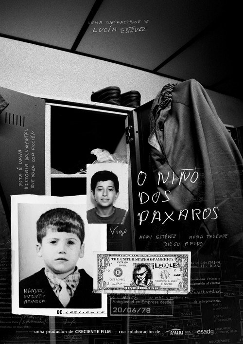 O niño dos paxaros poster 2