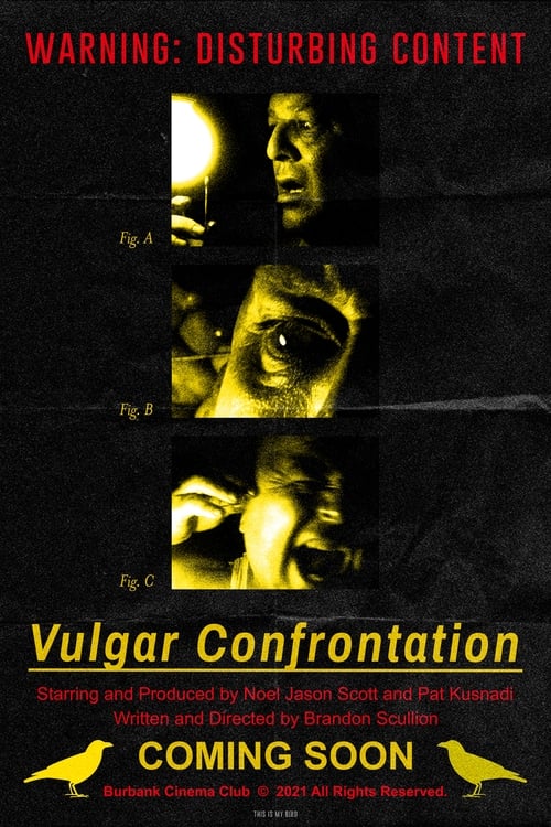 Vulgar Confrontation Poster