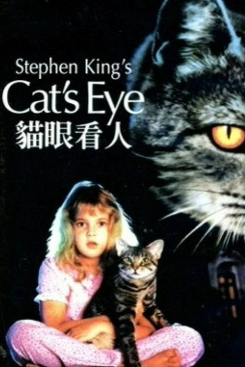 猫眼看人电影海报