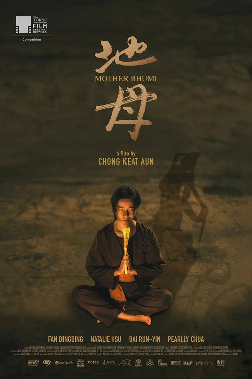 地母电影海报