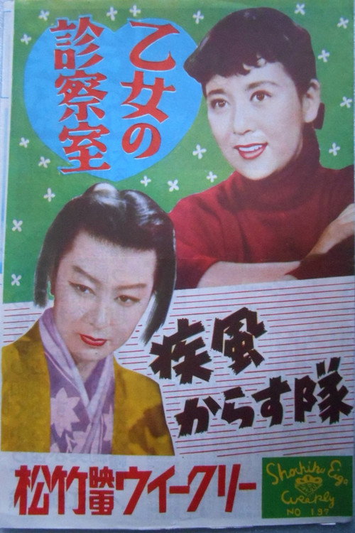 疾風からす隊 poster 2