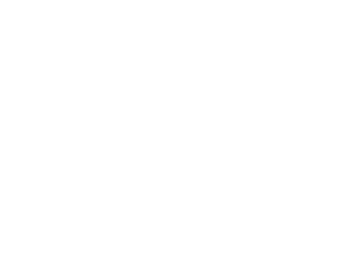 FIGHT OR FLIGHT Logo