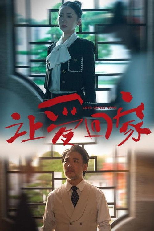 让爱回家电影海报