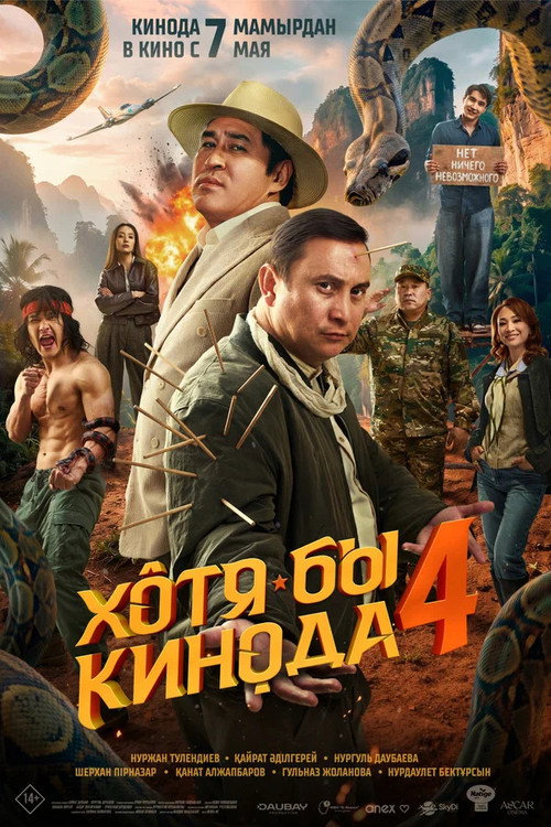 At Least in the Movies 4's poster