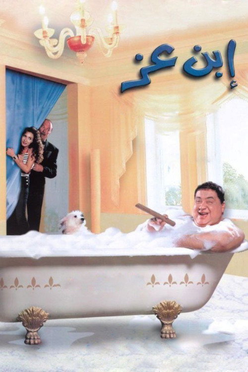 Son of Wealth poster 2