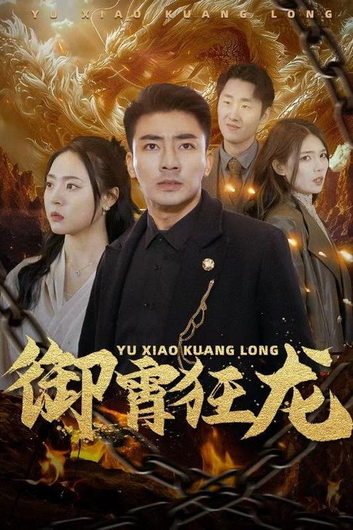 御霄狂龙海报