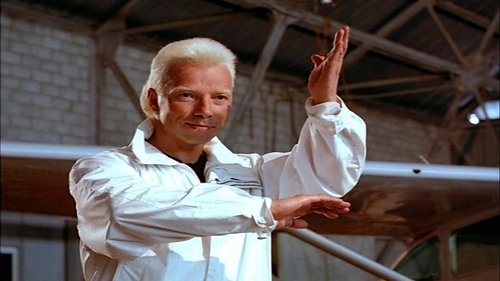 regarder film Karaté Tiger 3 Frères de sang (1990) gratuit