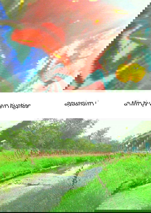 aquarium i
