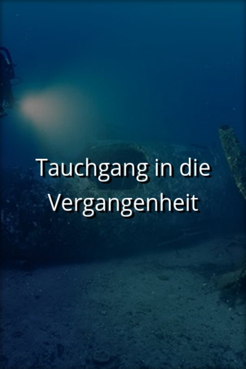 Shipwrecks: When History Resurfaces电影海报