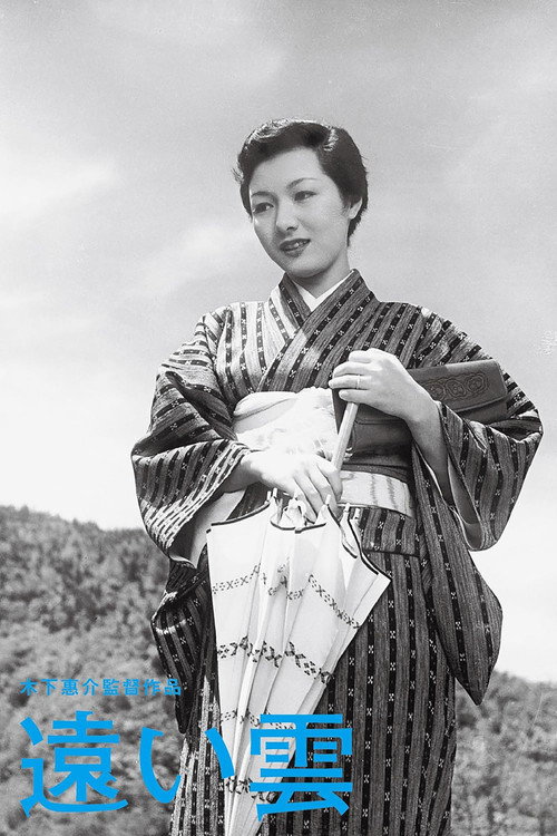 远云电影海报