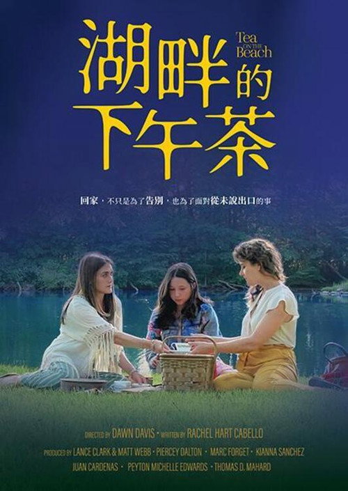 湖畔的下午茶电影海报