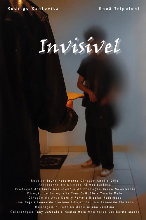 Invisivel's poster