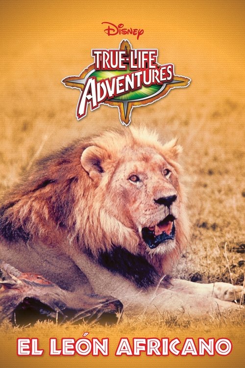 Poster of El león africano
