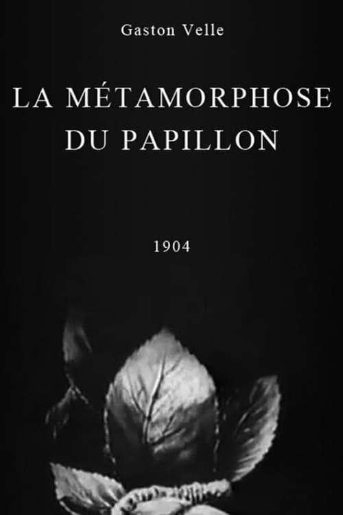 La+M%C3%A9tamorphose+du+papillon