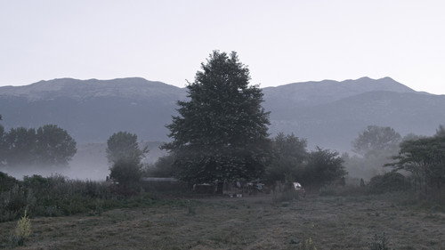 Backdrop