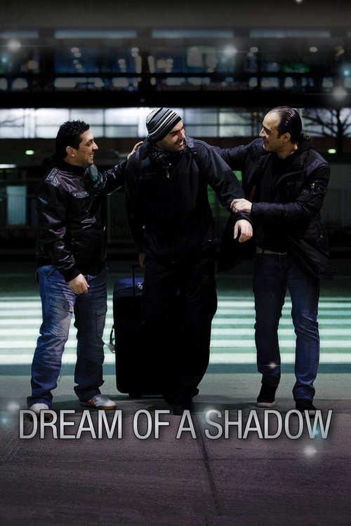 Dream of a Shadow poster 3