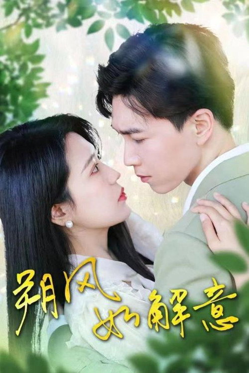 朔风如解意电影海报