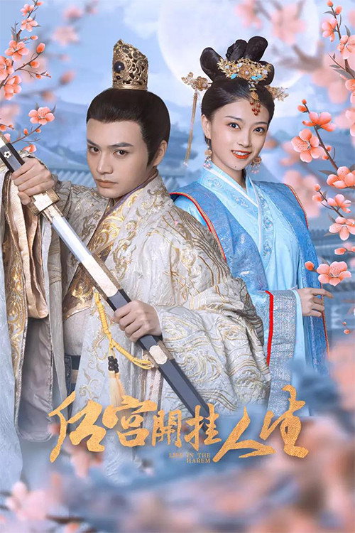 后宫开挂人生电影海报