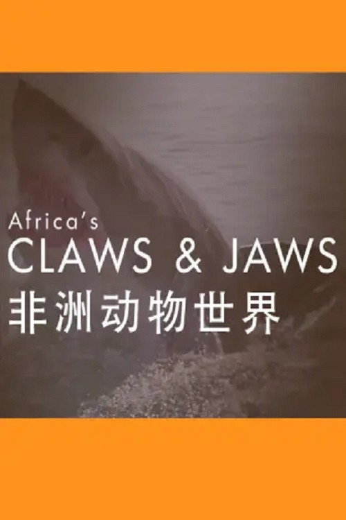 非洲动物世界电影海报