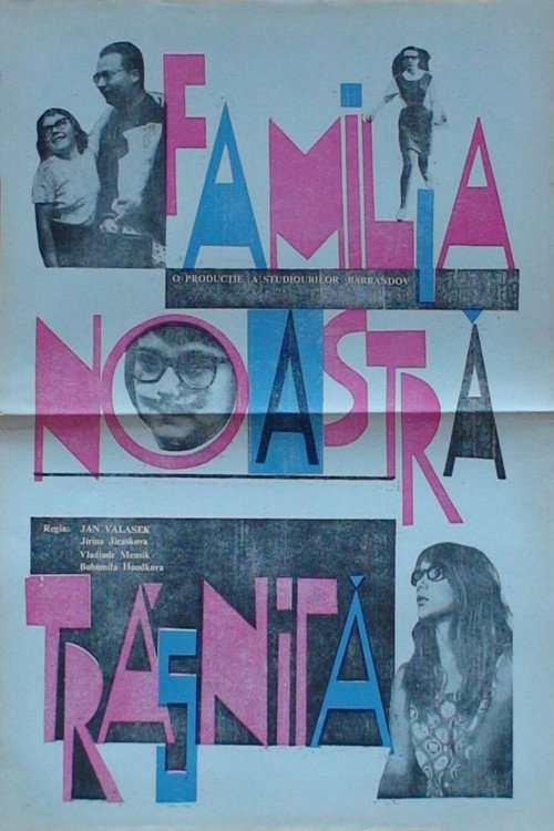 Naše bláznivá rodina poster 6