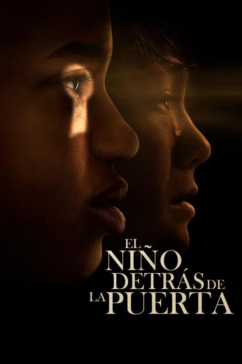 Poster of The Boy Behind The Door