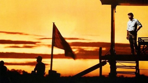 Los gritos del silencio (1984)