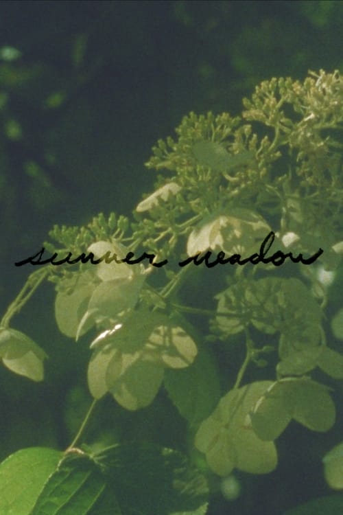 Summer+Meadow