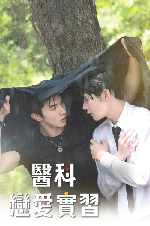 甜心医生电影海报