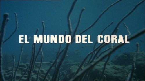 The World of Coral