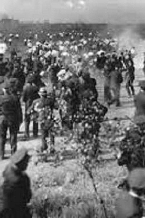 Republic Steel Strike Riots Newsreel Footage电影海报