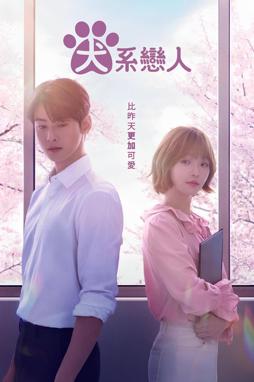 今天也很可爱的狗电影海报