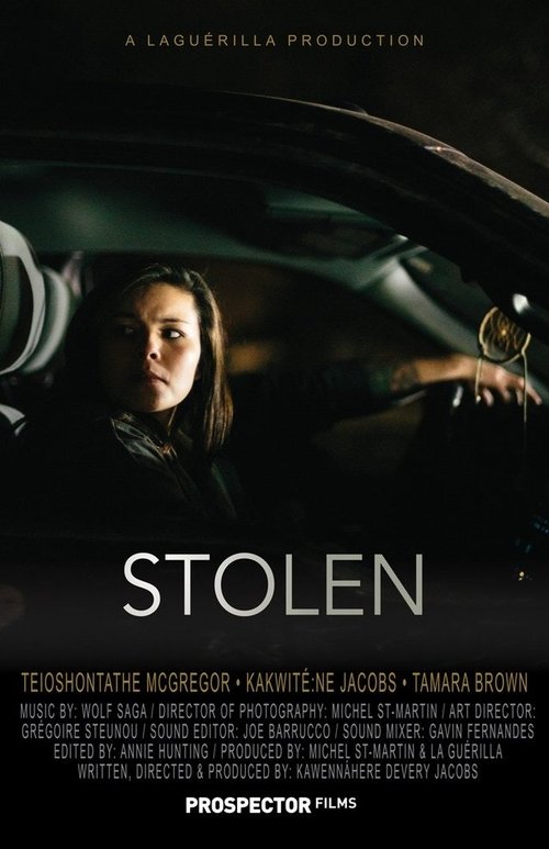 Stolen Poster