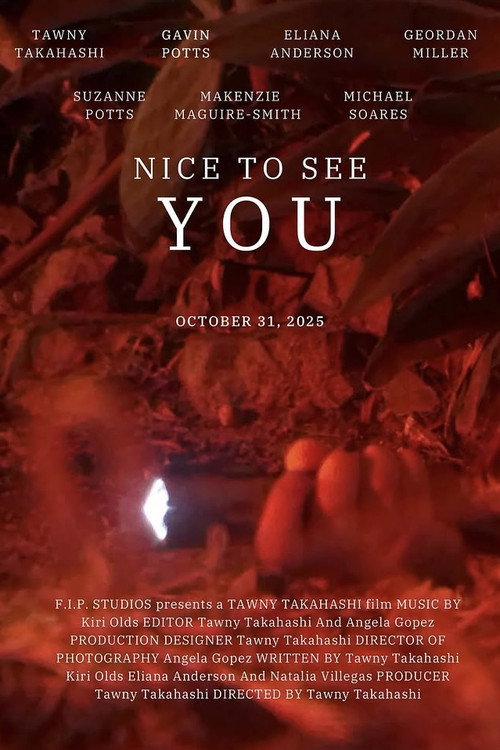 Nice to See You poster 2