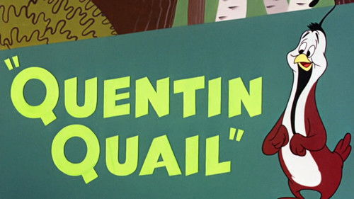 Quentin Quail