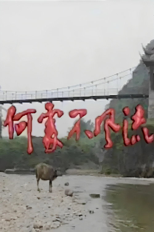 何处不风流电影海报